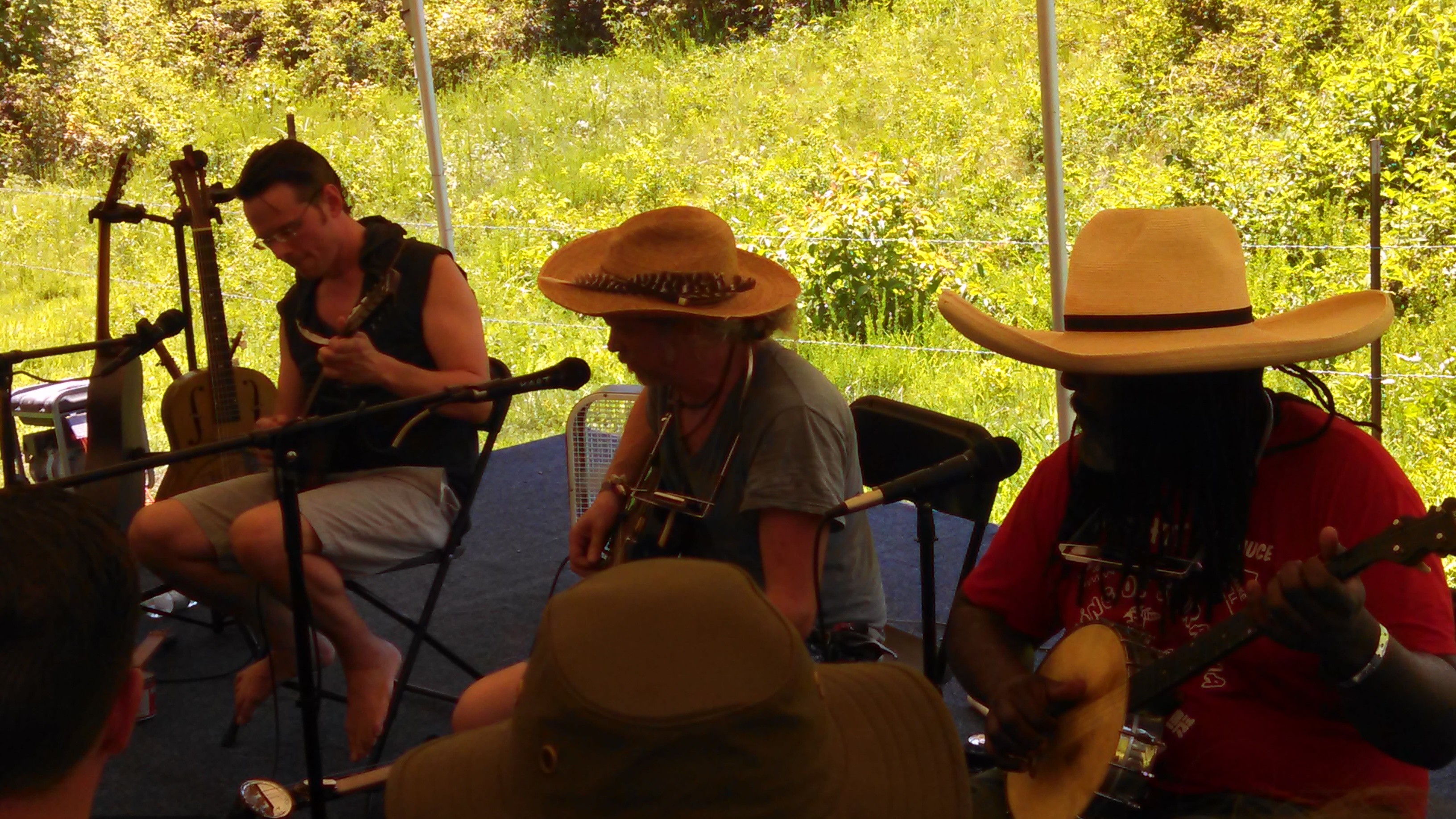 SouthMemphisStringBand2015-06-26NorthMississippiHillCountryPicnicWaterfordMS (4).jpg